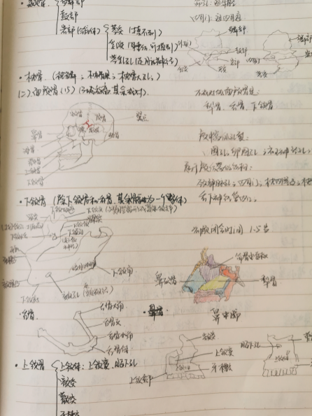 d13b236159134905bfffecb7bbaff349.png