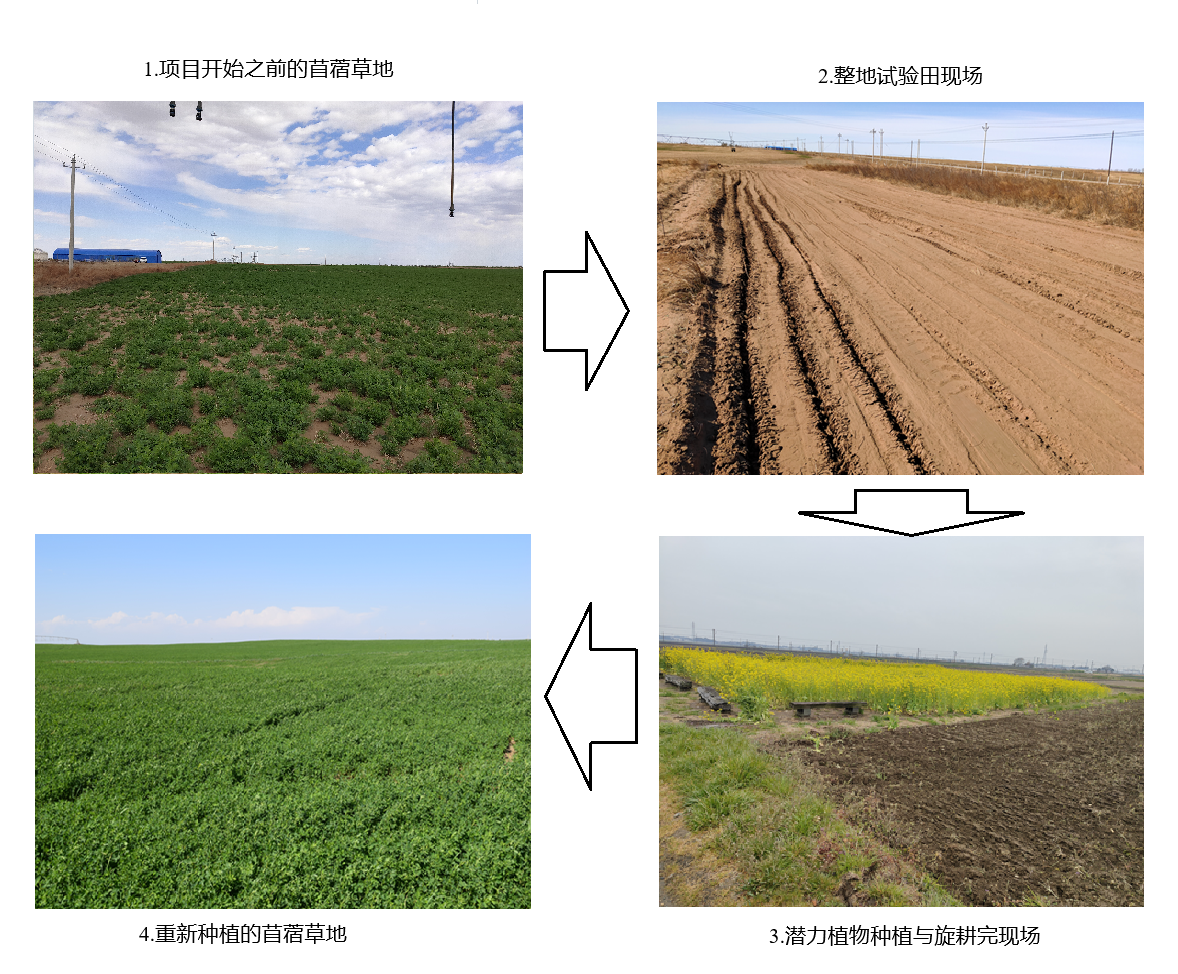 30aadaff99894bfcb952eab4b356033b.png 图片3.png