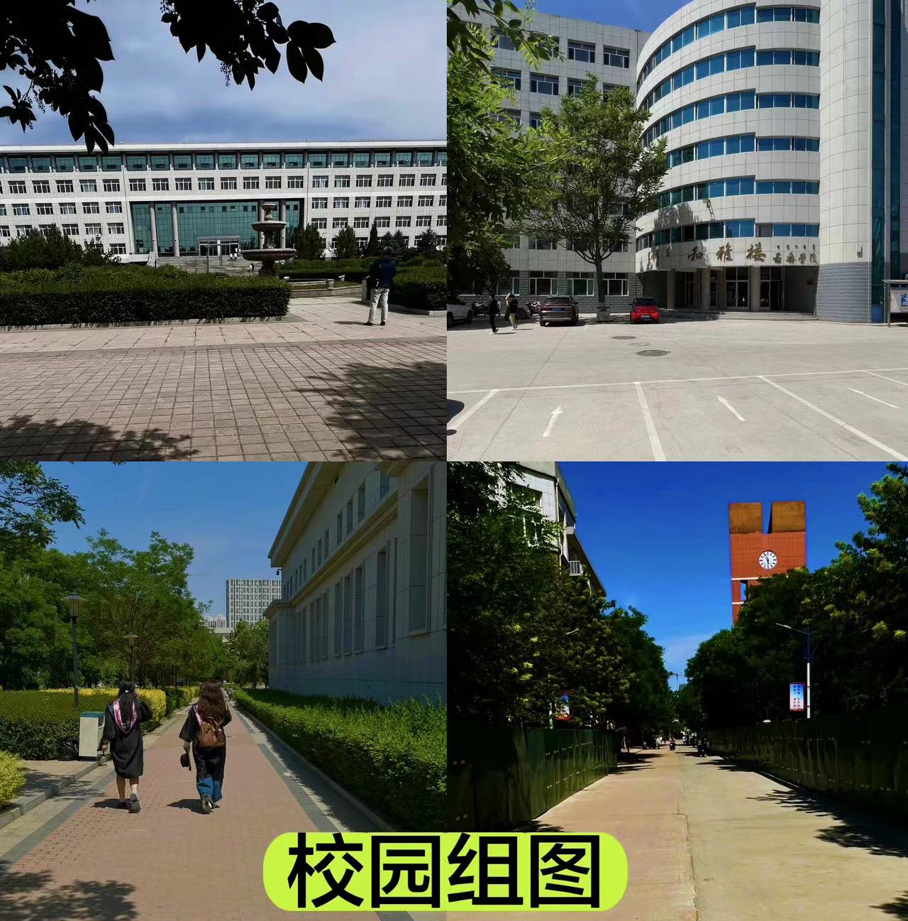 806fe5705746498692e3c4394aae690b.jpg