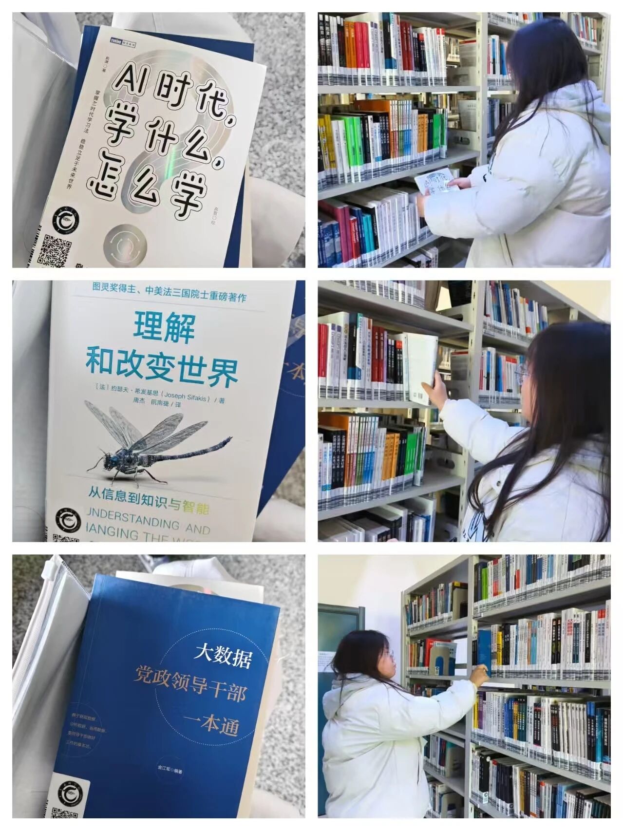 a86a310564454eeba164df76903d9dd6.jpg