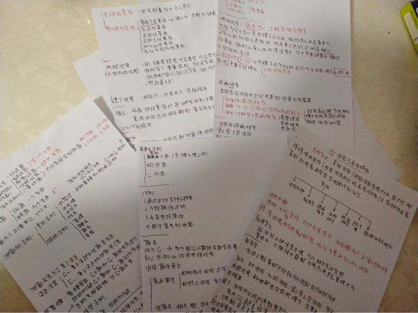 9df80c23bb2a433fbd75bfea1128fc7e.jpg 9df80c23bb2a433fbd75bfea1128fc7e.jpg