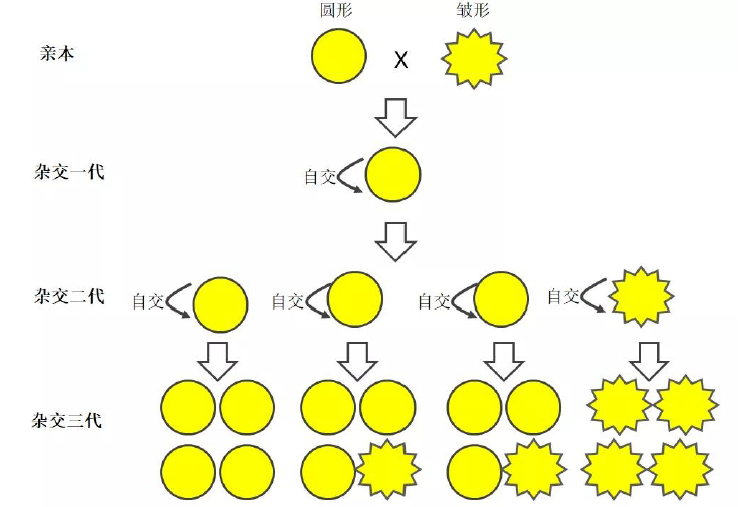 a966125b3f6e42afa04b2141fbf090a6.png a966125b3f6e42afa04b2141fbf090a6.png