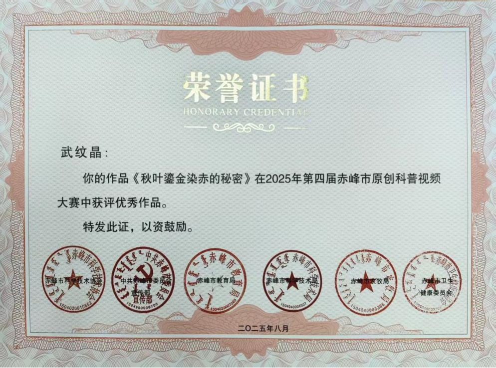 13d4e864b09248aea0c6b9520abba657.png 13d4e864b09248aea0c6b9520abba657.png