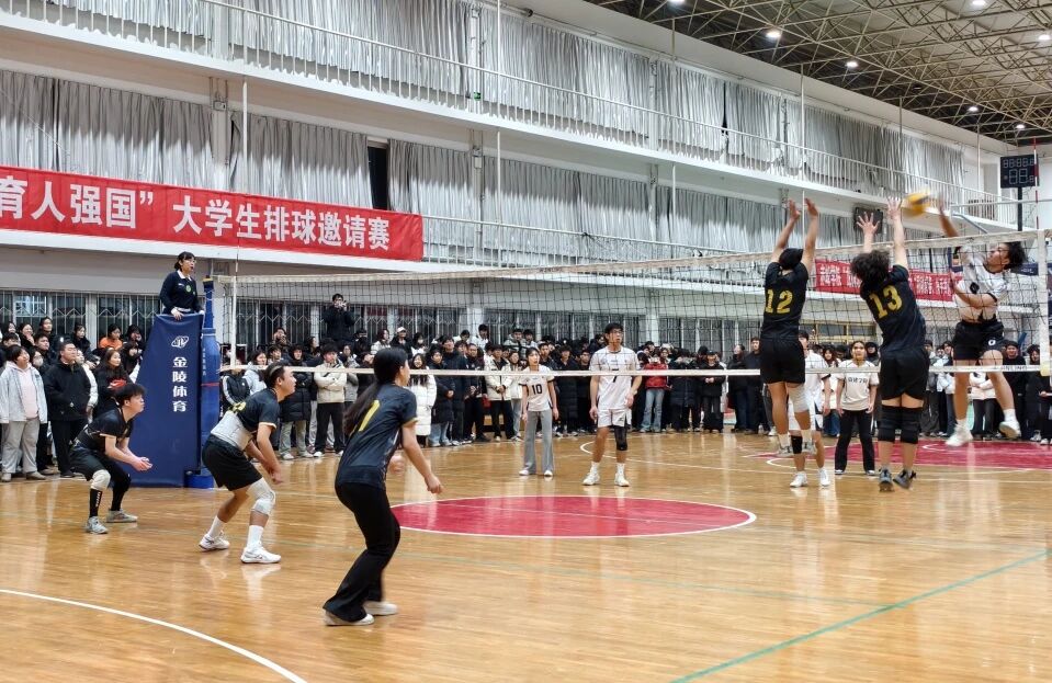 d3bb7d3f7b3e40deb1055cd255c2d86e.jpeg IMG_2017.jpeg