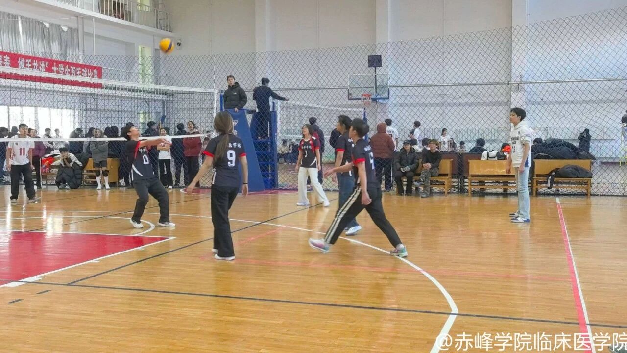 3dd3759895db41dd939f8fb3a31bdc4b.jpg