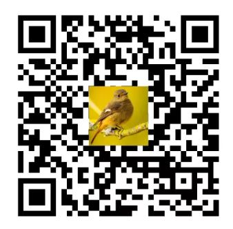 3ce1d847cfa849c0a603c059e52430cd.png 图片1.png